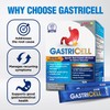 LABO Nutrition GASTRICELL- Eliminate H. Pylori, Relieve Acid Reflux &
