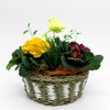 Flower Stakes Glitter Bird Yellow 6 x 25 cm Pack