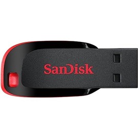 SanDisk 32GB Cruzer Blade USB Flash Drive