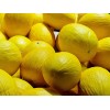 Does Not Apply Canary Melon Seeds Cucumis melo Non-GMO, Shipped