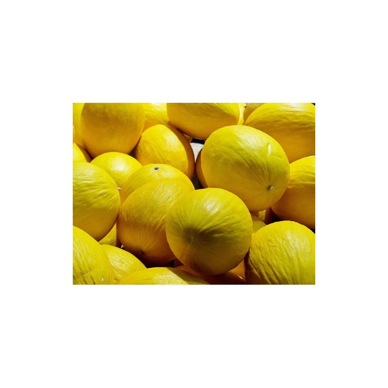 Does Not Apply Canary Melon Seeds Cucumis melo Non-GMO, Shipped