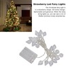20 LEDs Christmas Lights Outdoor Strawberry Fairy String Lights Battery