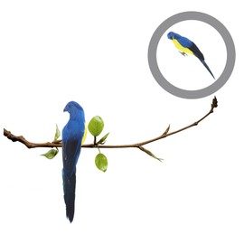 Ipetboom Parrot Ornament Artificial Simulation Bird Bird Toys for Cockatiel Creative Decor for Home Office