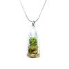MICRO LANDSCAPE DESIGN Live Wearable Cactus Necklace Miniature White Cactus
