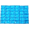 Thermos Reusable Ice Mat Food Saver, 36-Cube