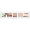 catrice Colour Recipe Anti Eyebrow Multi Correctrice 5 Teintes 01