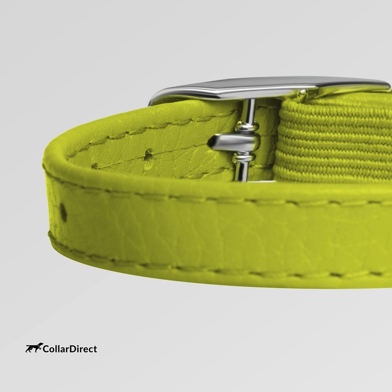 CollarDirect Leather Cat Collar with Safety Clasp, 23-28 cm, Lime