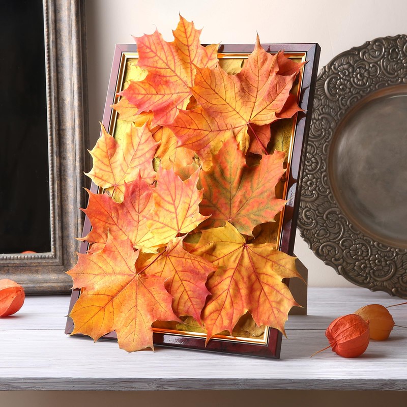 MECCANIXITY 50 Pack Artificial Leaves Fall Leave Cutouts Thanksgiving Day