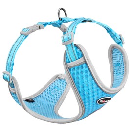 ThinkPet Reflective Breathable Soft Air Mesh No Pull Puppy Choke Free Over Head Vest Harness for Puppy Small Medium Dogs and Cats Light Blue Large