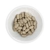 [Chamgoods] 1 pack of 120 tablets of syringa extract complex