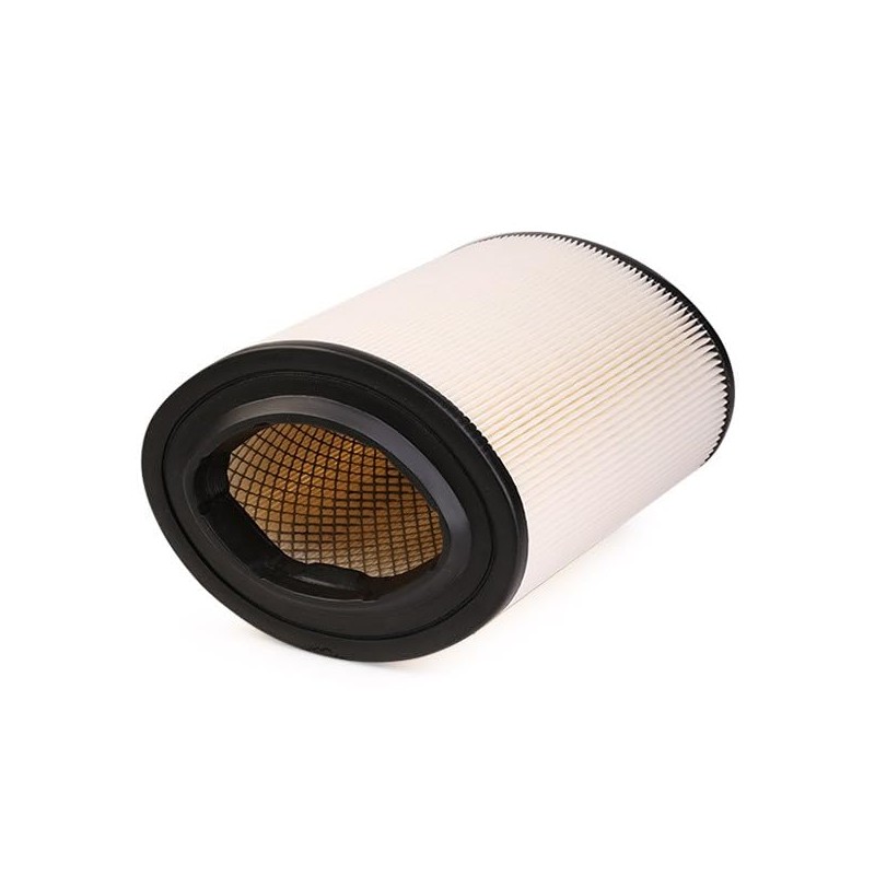RIDEX 8A0253 air filter, air filter, filter