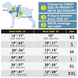 ADVENTUREMORE Dog Harness Small Sized Dog No Pull with QR Code Dog Tag, Adjustable Reflective Dog Vest Escape Proof Dog Harness with Easy Control Front Clip Handle for Training Walking S Teal