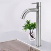 Single Cold Water Kitchen Faucet Stainless Steel Single Hole Bathroom
