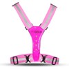 gato Led Safer Sport vest pink
