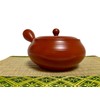 Japanese Kyusu tokoname Clay Teapot 10.8 fl.oz. Takeharu Red Clay