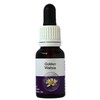 Living Essences Golden Waitsia 15ml