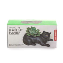 Kikkerland Cosmo The Black Cat Porcelain Planter, for Succulents, Herbs, Indoor/Outdoor House Plants, Home, Garden Decor