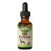TenbyTen Animal Essentials Eye Defense Bright Eye Tincture (ap) / Animal Essentials Eye Defense 밝은 눈 팅크 (ap)