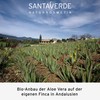 Classic Santaverde Aloe Vera Body Lotion – 150 ml