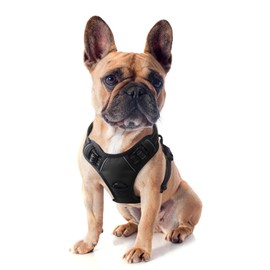 Funfox Dog Harness Small Breed, No Pull Dog Harness Adjustable with Handle Easy Control, Durable Materials 2 Clips Harnais Pour Chien Reflective Strips Pet Vest for Night Walking Black S