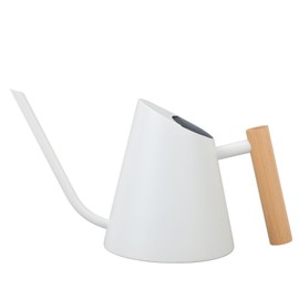 Watering Can with Long Spout 800ml Stainless Steel Matte Indoor Plant Watering Can with Wooden Handle for Home Garden Flower White