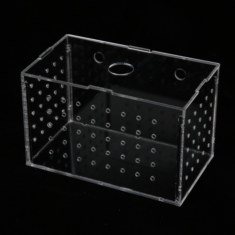 Fish Breeder Box High Transparency Acrylic Hatchery Incubator Tank with