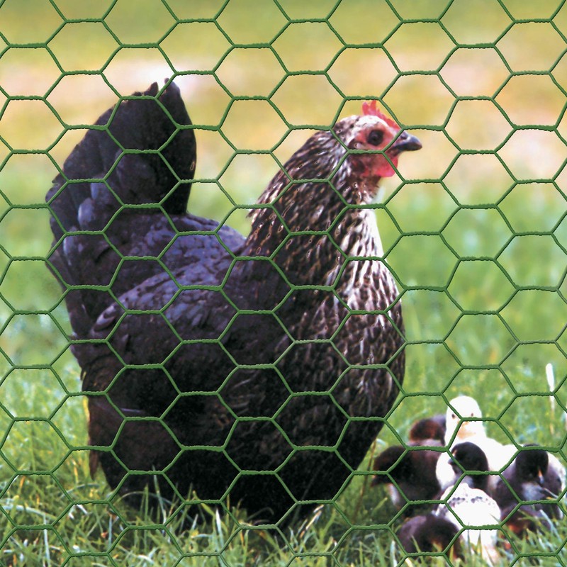 Garden Zone 173625 36 Inches x 25 Feet Gauge Poultry