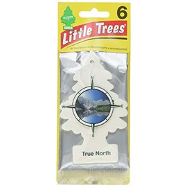 Little Trees Car Air Freshener 6-Pack (True North)