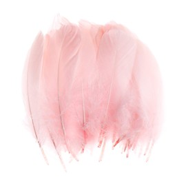 100PCS Natural Goose Feathers Decoration - Assorted Colorful 6-8 inch Feather for DIY Crafts Festival Erikord(Light Pink）