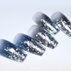 DIAME Diamy Mermaid Shell Silver Flake Silver Foil Nail Glitter