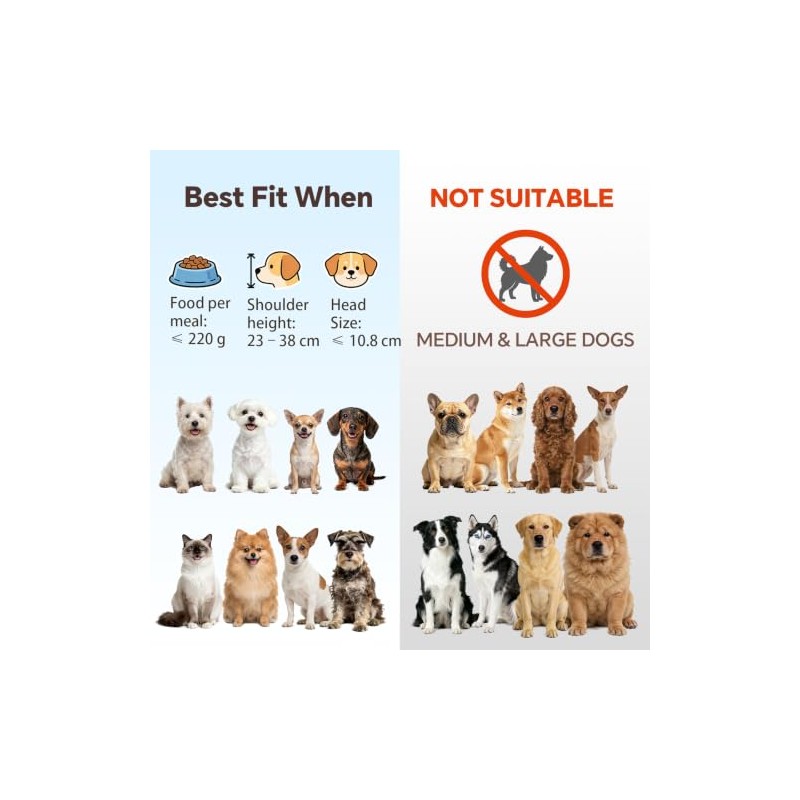 Cuenco pequeño de cristal inclinado elevado para gatos y perros