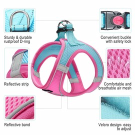 haapaw Dog Harness with Leash Set, No Pull Adjustable Reflective Step-in Puppy Harness with Thickened Padded Vest for Extra-Small/Small Medium Dogs