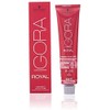 Schwarzkopf Igora Royal Premium Hair Colour, Pack of 1 (60