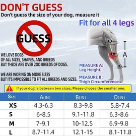 Spring.Rd Dog Pet Knee Brace For Support With Cruciate Ligament Injury, Joint Pain And Muscle Sore, Better Recovery With Dog ACL Knee Brace, Adjustable Rear Leg Braces For Dogs Knee Brace