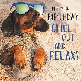 Abacus Cards Male/Female Birthday Card - General Funny Card for Men/Women - 'Chill Out and Relax' Dachshund Dog on Beach - Eco-Friendly & Recyclable - Made in the UK