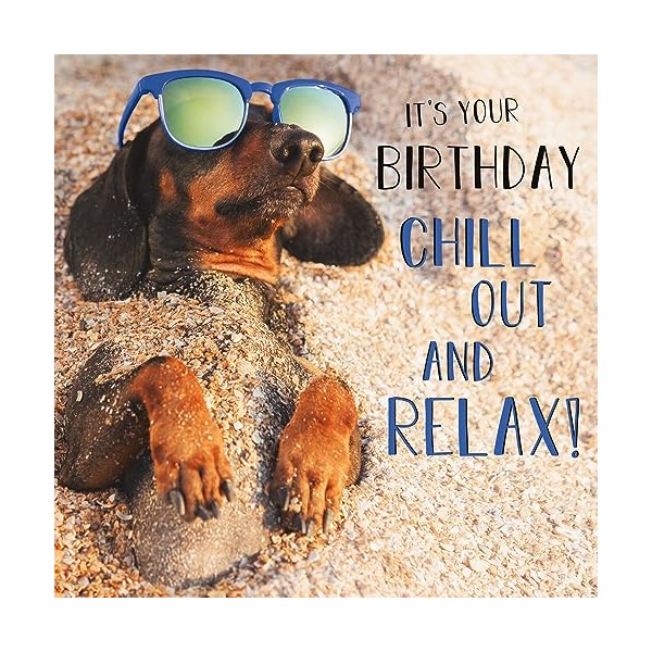 Abacus Cards Male/Female Birthday Card - General Funny Card for