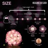 suddus Fairy Lights with Cherry Blossom, 12.8 ft 40 LED