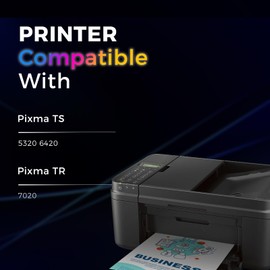 HOTCOLOR PG-260XL Black Ink Cartridges Replacement for Canon 260 Black Ink PG260XL for Canon 260 and 261 Ink cartridges PG260 for TS6420a TS6400 TR7020a TS5320 Printer (2 Black)