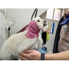 DDFS Dog Water Cap Bath Ear Cover Dog Ear Protectors No Wrap Ear Flap Comfort Ear Snood for Dogs Wine Red Dog Hoodies for Medium Dogs-M