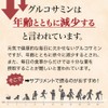 【リプサ公式】 グルコサミン＋コンドロイチン 約3か月分×2袋 C-221-2 サプリメント