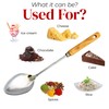 Alpine Cuisine Spoon with Wood Handle 13 Inch - Chrome