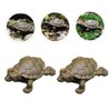 CAXUSD 4pcs Miniature Turtle Figurines Resin Turtle Decor for Garden