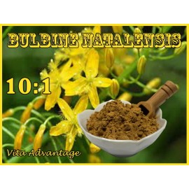 vita Advantage 100% Pure Bulbine Natalensis 10:1 Extract Powder 100g. Bodybuilding-M