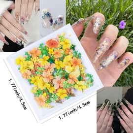 3D Dried Flowers for Nails, Spring Flower Nail Art Stickers 1Box Dried Flowers for Resin Crafts Colorful Small Natural Floral Dried Flower Decals for Summer Acrylic Nails Design Manicure Accessories