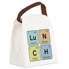 CafePress Chemistry Lunch Canvas Lunch Bag with Strap Handle