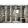 Prison Bars Backdrop Jail Backdrop Jail Bars Crime Murder Photography