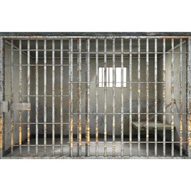 Prison Bars Backdrop Jail Backdrop Jail Bars Crime Murder Photography Background Police Cell Mugshot Theme Party Backdrop Decors Prison Jail Game Style Background Decorations Props 7x5ft