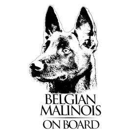 Car Sticker Belgian Malinois Car Sticker 15 cm (5.9 Inch) 3D Ripped Sticker Waterproof Belgian Shepherd Pet Dog Sticker Laptop Sticker Reflective Sticker Car Window