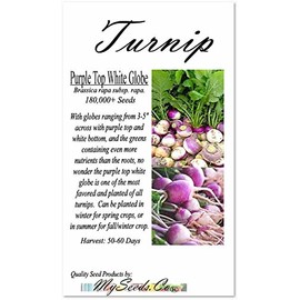 1 lb (180,000+ Seeds) Purple Top White Globe Turnip seeds - Greens contains even more nutrients - 50 Days until Harvest - Non-GMO Seeds By MySeeds.Co (1 lb Purple Top White Globe Turnip)