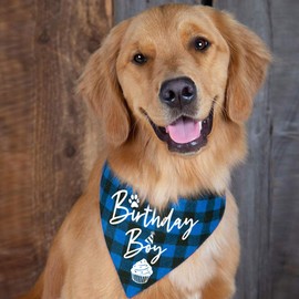 family Kitchen Classic Blue Plaid Pet Puppy Dog Bandana, Boy Dog Birthday Bandana Scarf Bibs for Pet Birthday Outfit Accessories Party Supplies